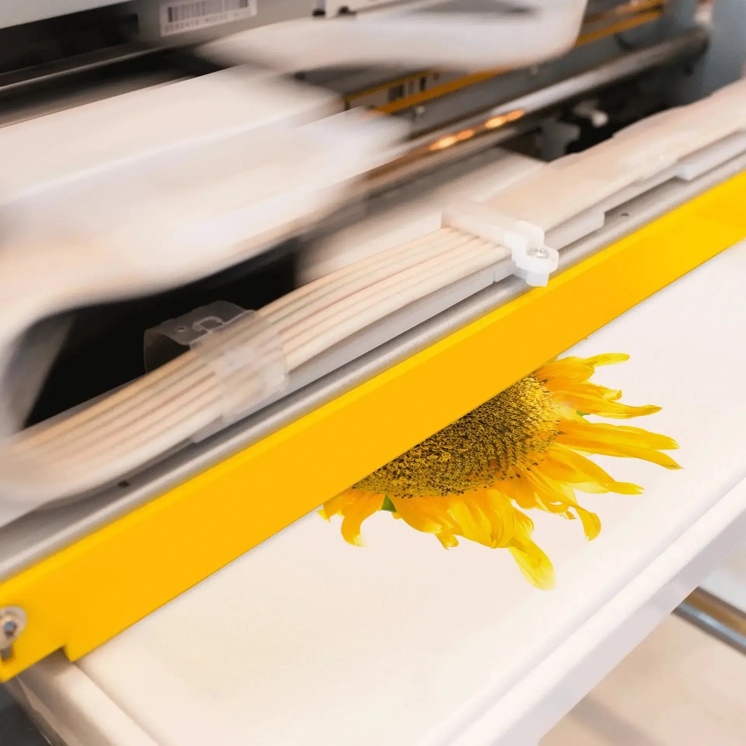 direct to garment, DTG printing, custom DTG shirts, digital garment printing, DTG t-shirt printing, full color shirt printing, DTG apparel, print on demand DTG,