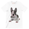 Boston_Terrier - Dog Themed T-Shirt-White-S-Custom One Express