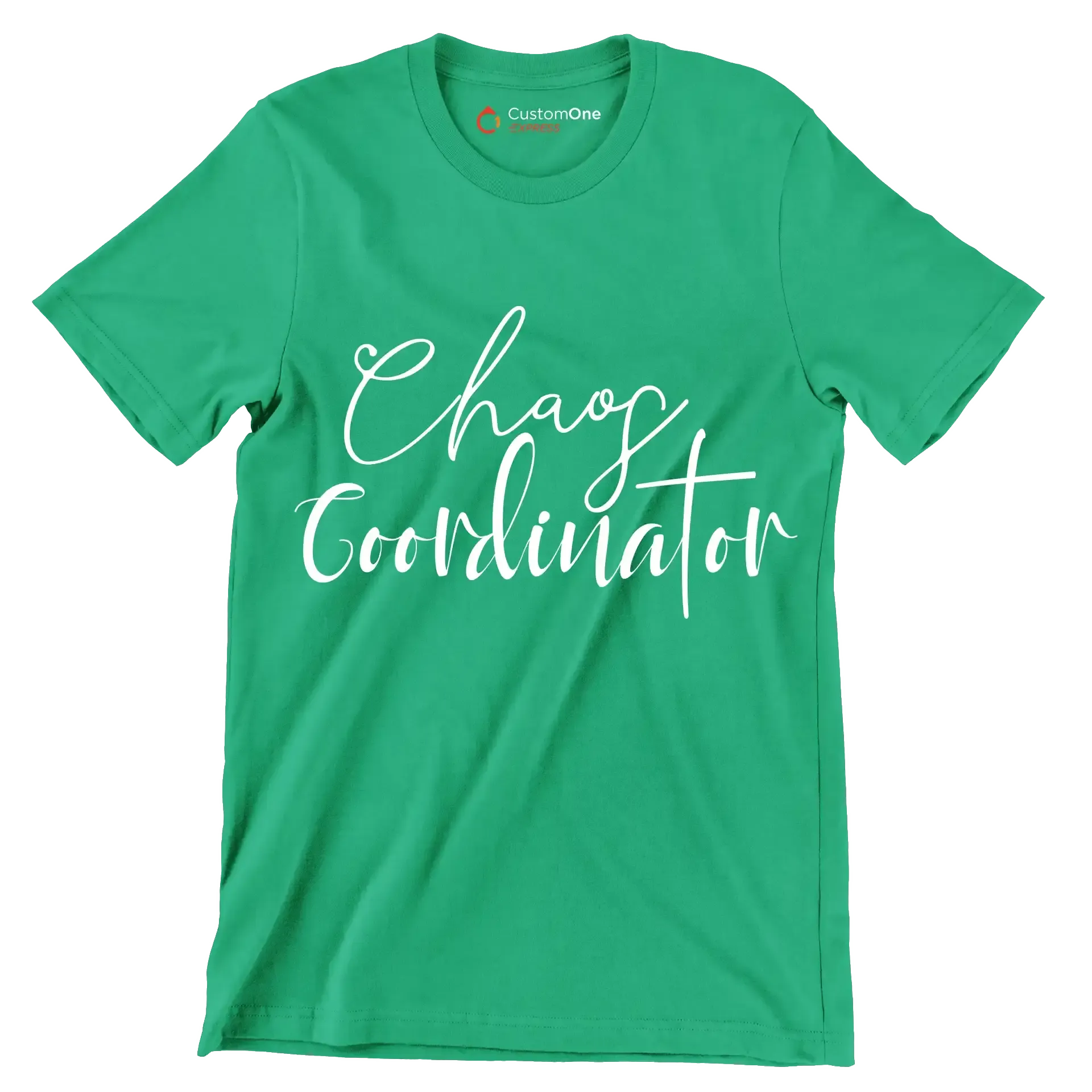 Chaos coordinator - Sarcasm Themed T-Shirt-Green-S-Custom One Express