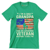 I am A Dad Grandpa And An Airborne Veteran Nothing Scares Me - Veterans Themed T-Shirt-Green-S-Custom One Express