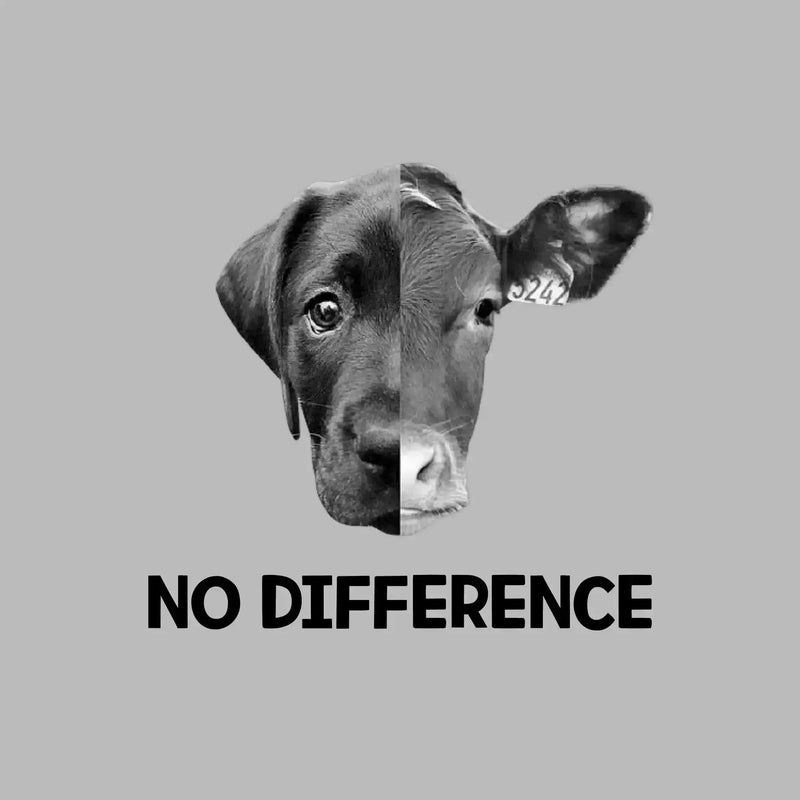 No difference - Vegan Themed T-Shirt-Green-S-Custom One Express