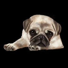 Pug - Dog Themed T-Shirt-Black-S-Custom One Express