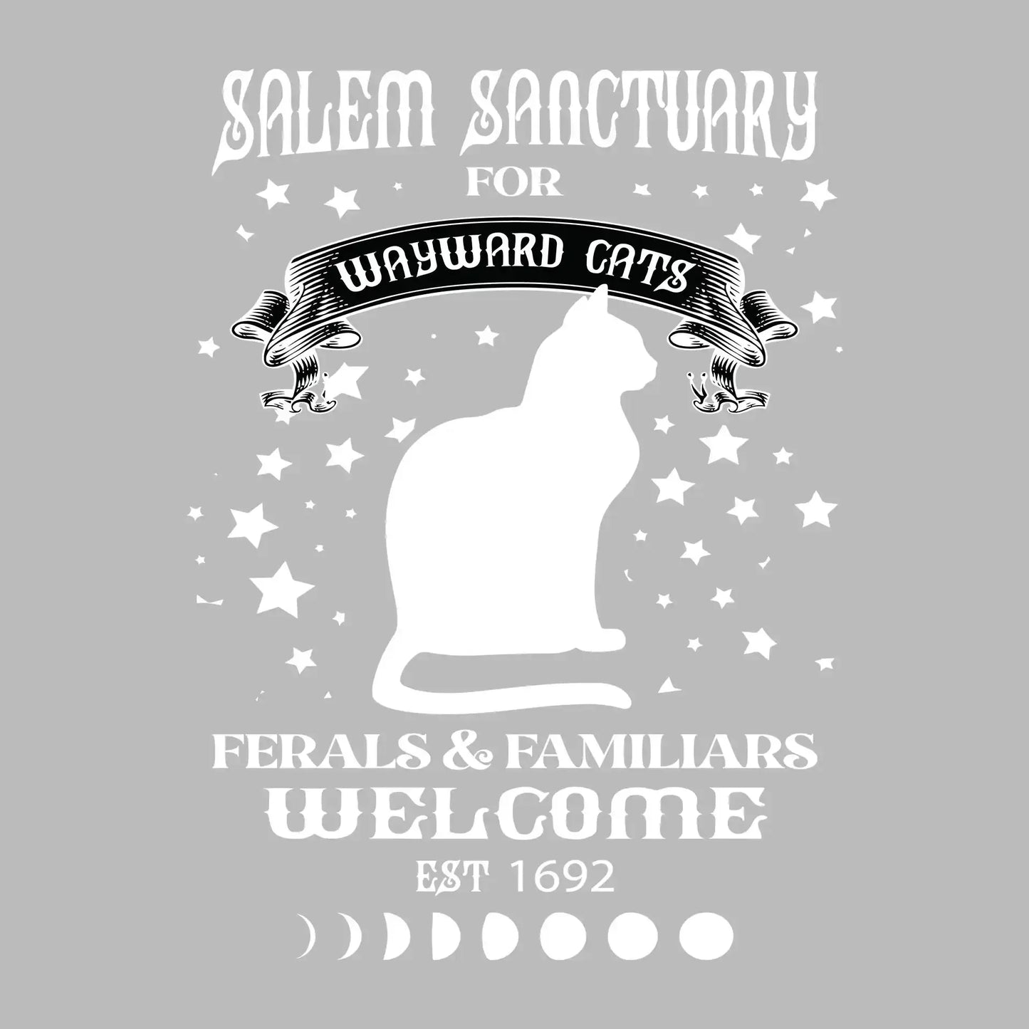 Salem sanctuary for wayward cats ferals & familiars welcome est 1692 - Cat Themed T-Shirt-Black-S-Custom One Express