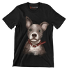 Staffordshire_Bull_Terrier - Dog Themed T-Shirt-Black-S-Custom One Express